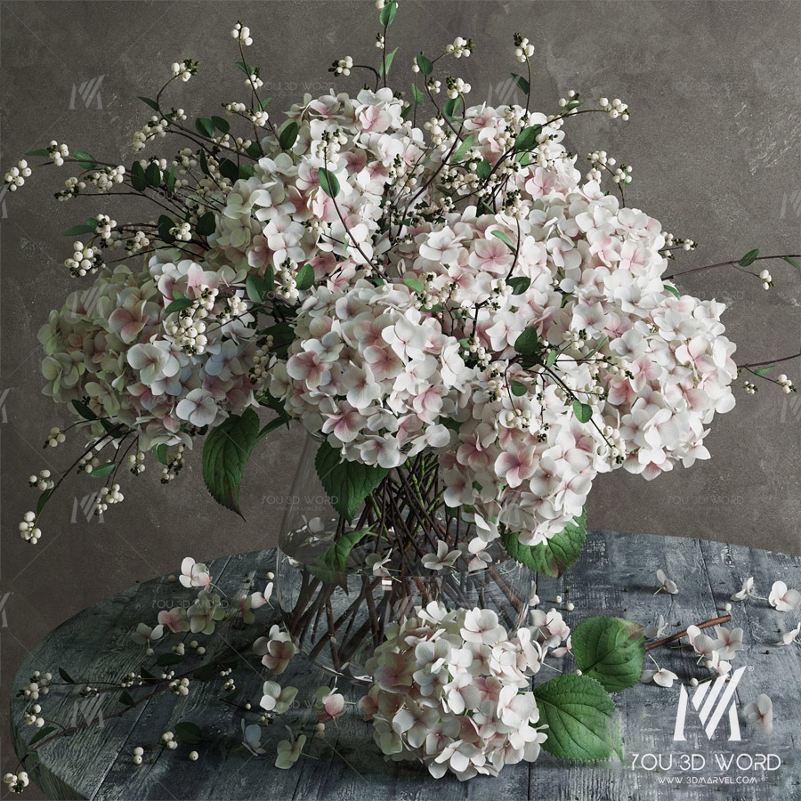 Hydrangea